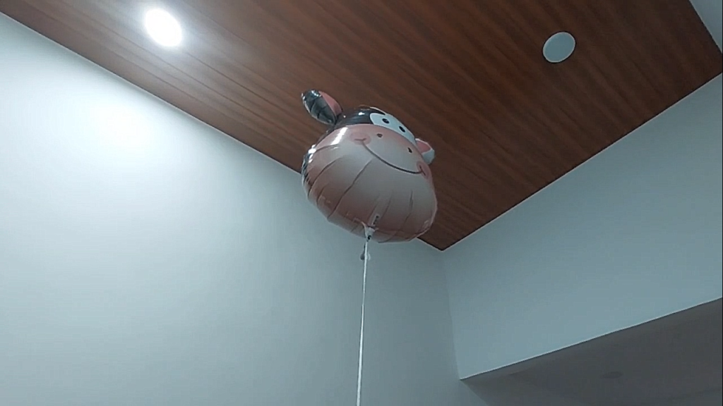 Cow Cartoon Balloon Floating In The Air On Ceiling Free Stock Video