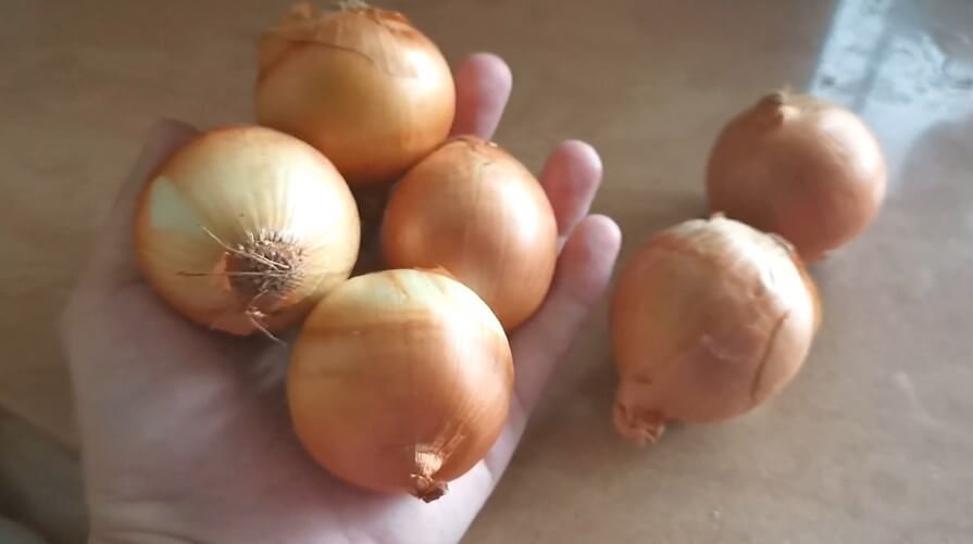 Fresh Onion in Hand in Kitchen free stock video