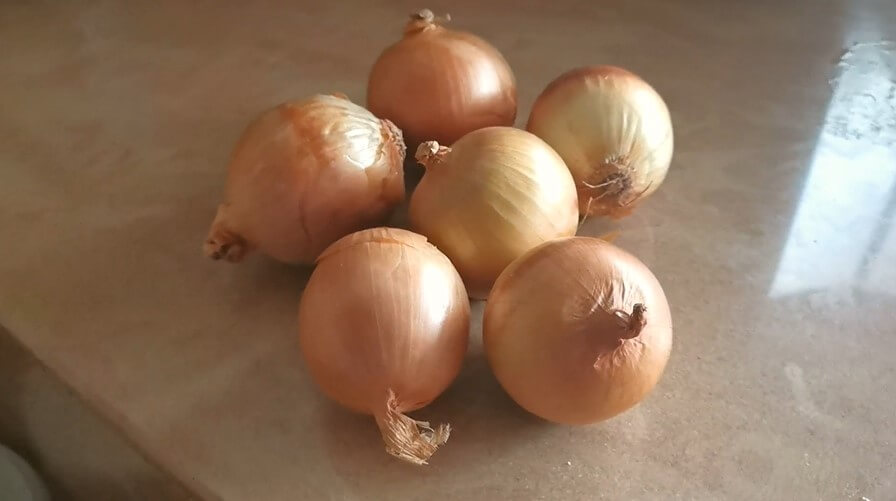 Fresh Onion in Kitchen free stock video