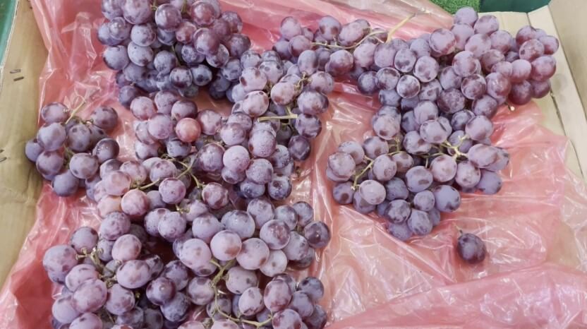 Purple Grapes in supermarket free stock video
